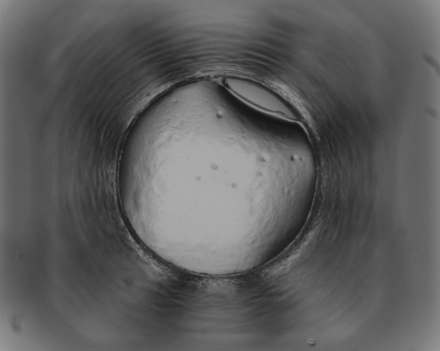 X0000091181041200709060950