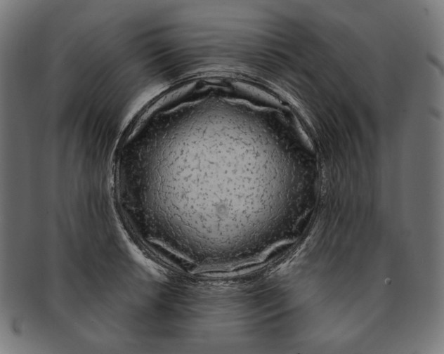 X0000091181042200709060950