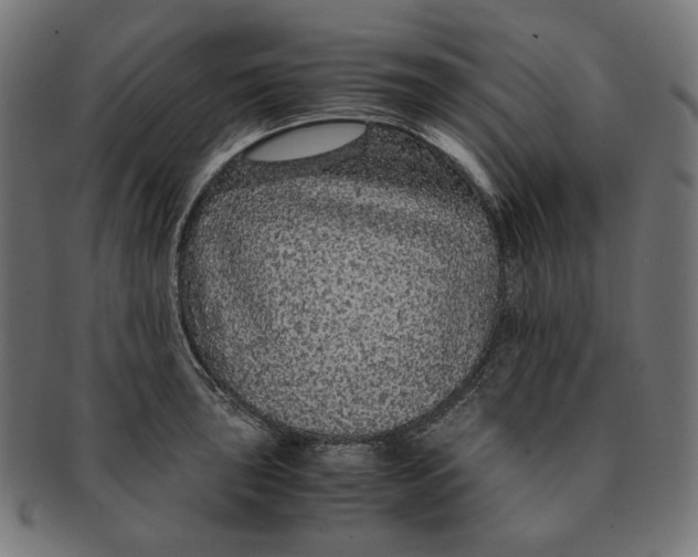 X0000091181043200709060950