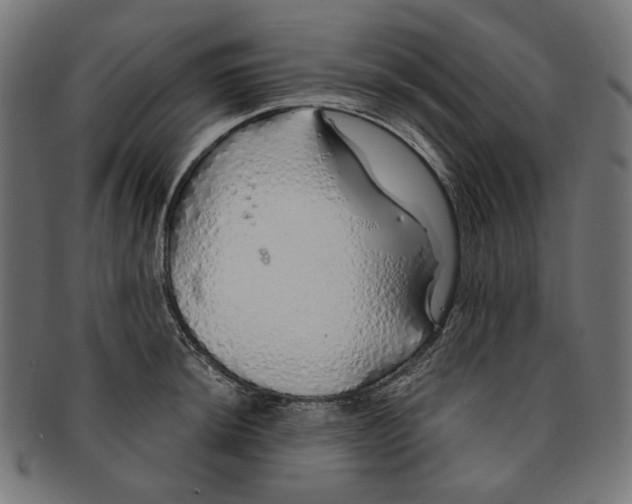 X0000091181044200709060950