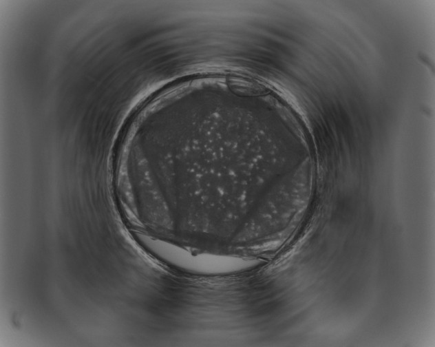 X0000091181045200709060950