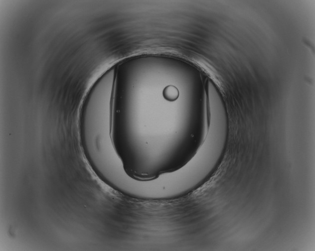 X0000091181046200709060950
