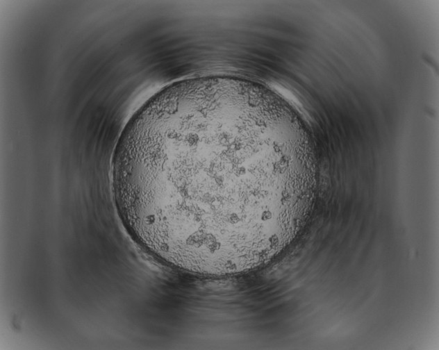 X0000091181047200709060950