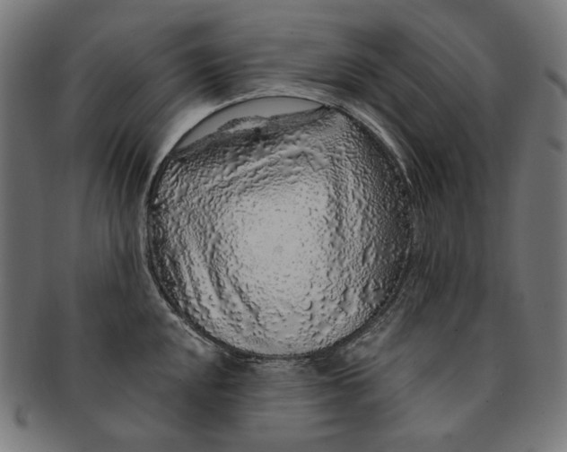 X0000091181048200709060950
