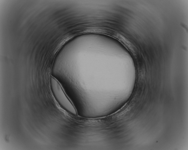 X0000091181049200709060950