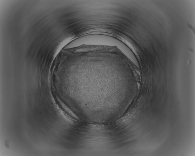 X0000091181050200709060950