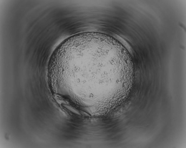 X0000091181051200709060950