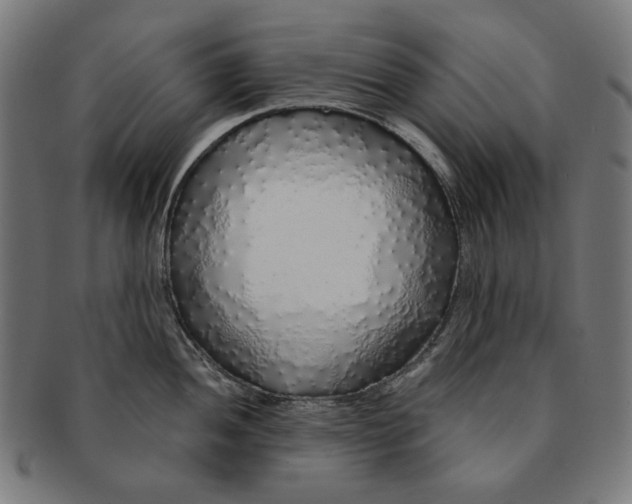 X0000091181052200709060950