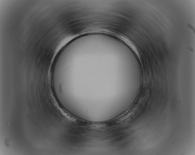 X0000091181053200709060950