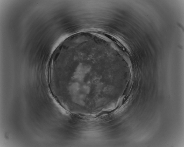 X0000091181054200709060950