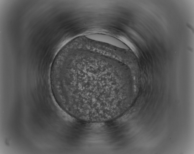 X0000091181055200709060950