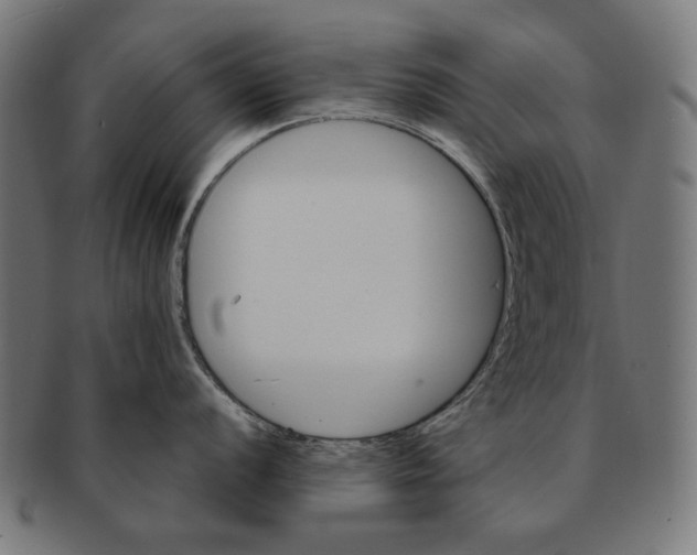 X0000091181056200709060950