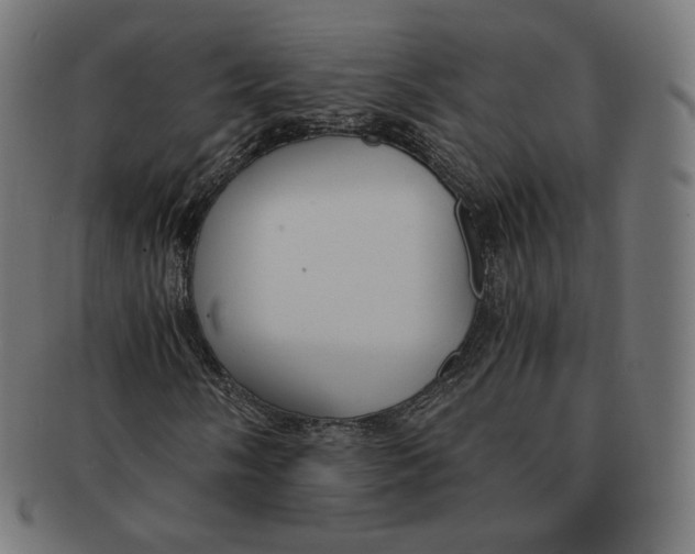 X0000091181058200709060949