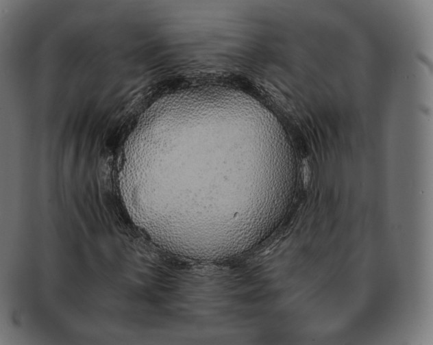 X0000091181059200709060949