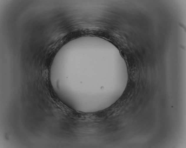 X0000091181061200709060949