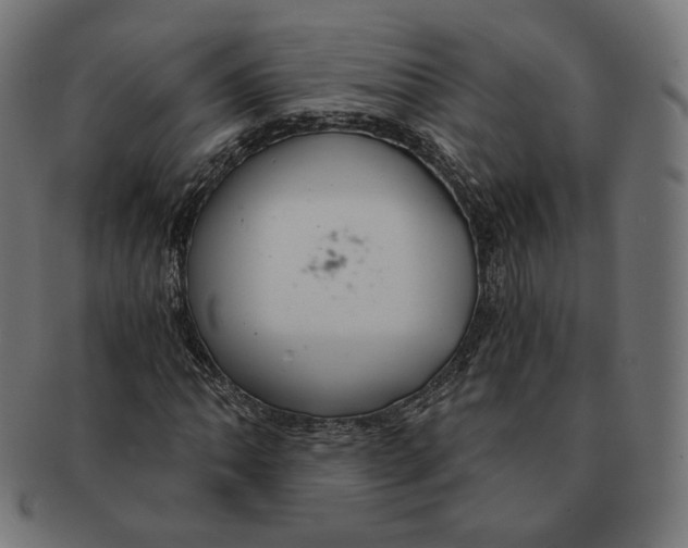 X0000091181062200709060949