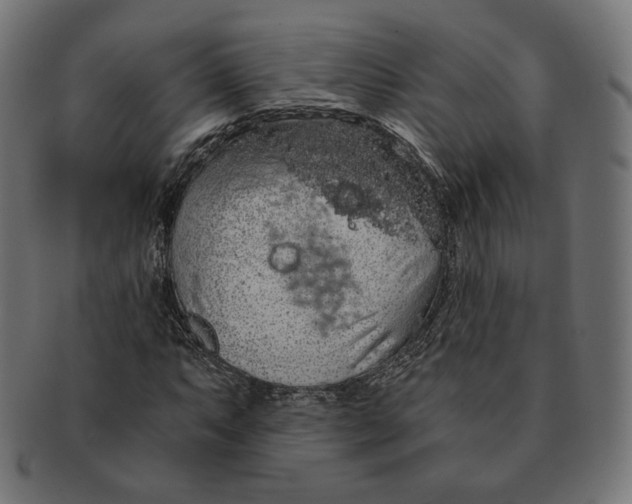 X0000091181063200709060949