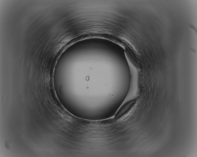 X0000091181065200709060949