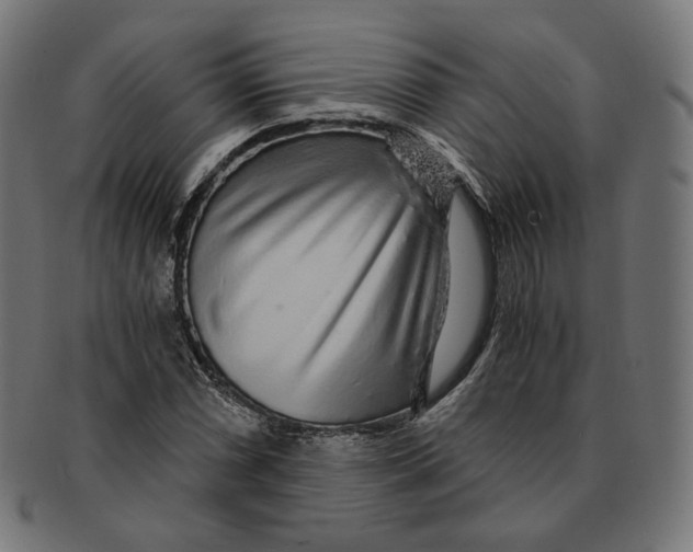 X0000091181066200709060949