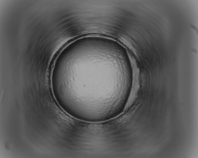 X0000091181068200709060949