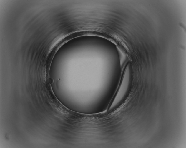 X0000091181069200709060949