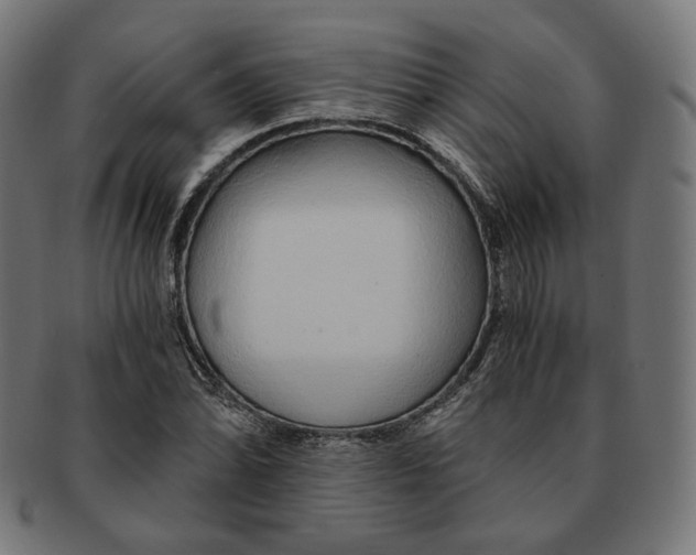 X0000091181070200709060949