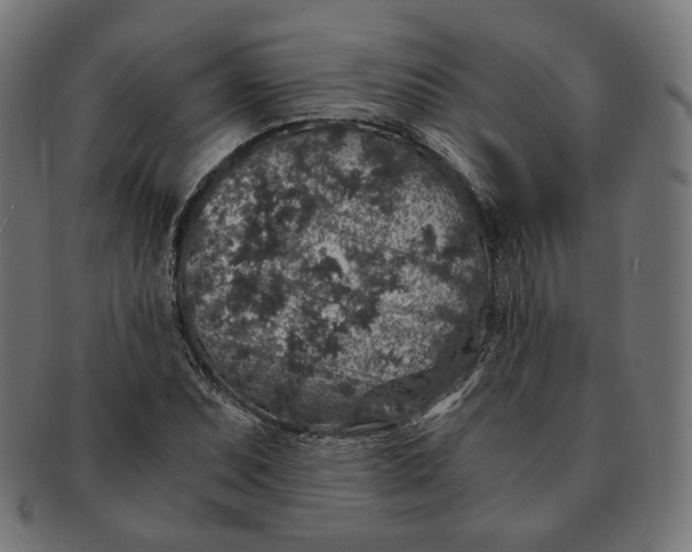 X0000091181071200709060949