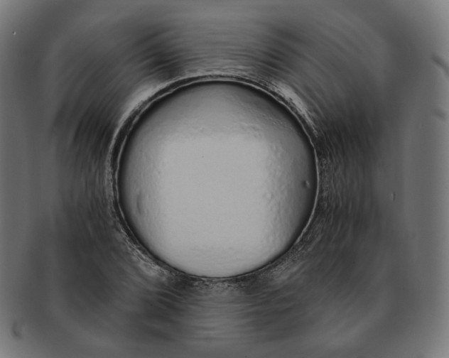 X0000091181072200709060949