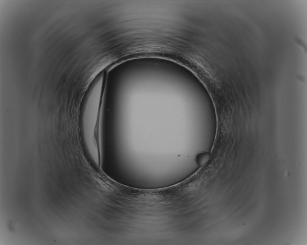 X0000091181073200709060949