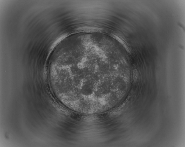 X0000091181074200709060949