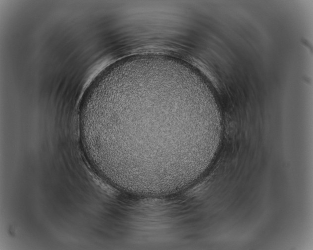 X0000091181075200709060949