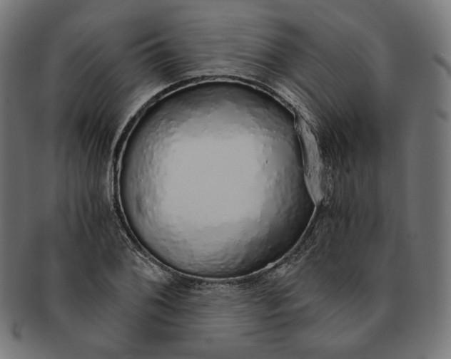 X0000091181076200709060949
