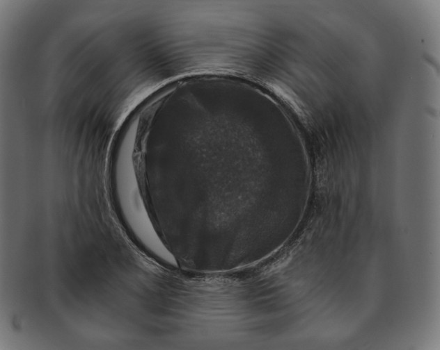 X0000091181077200709060949