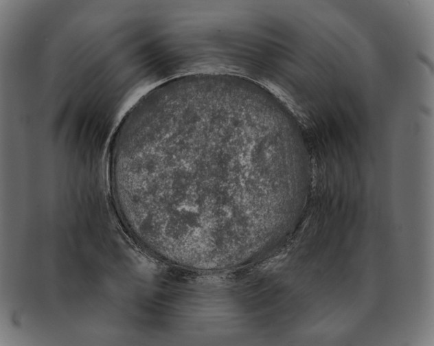 X0000091181078200709060949