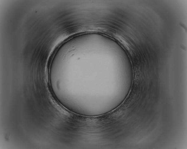 X0000091181080200709060949