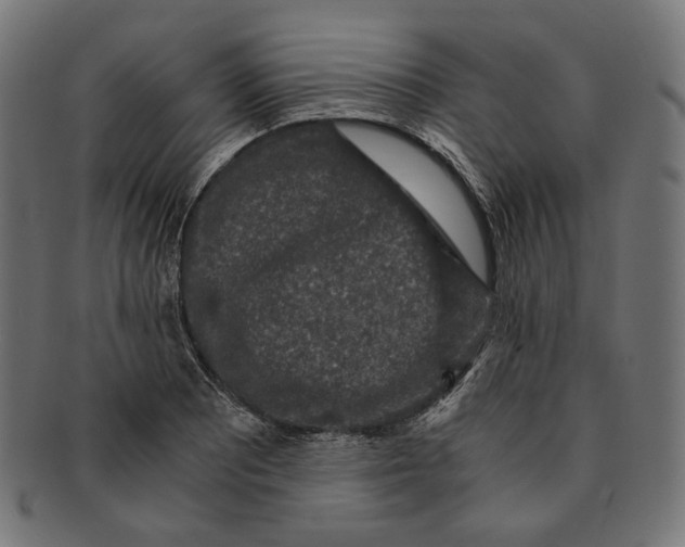 X0000091181081200709060949