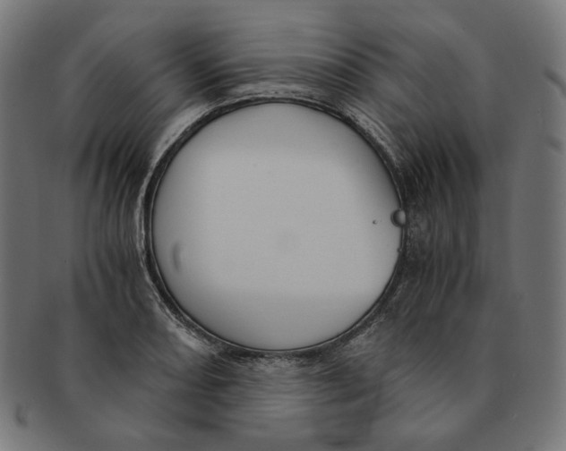 X0000091181082200709060949