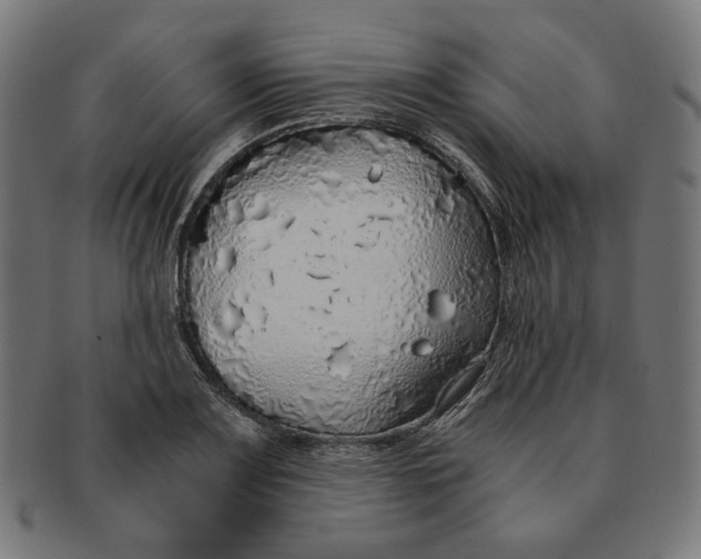 X0000091181083200709060949