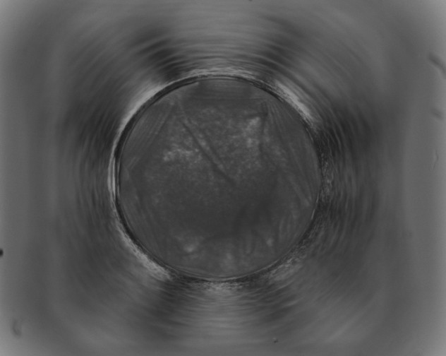 X0000091181084200709060949