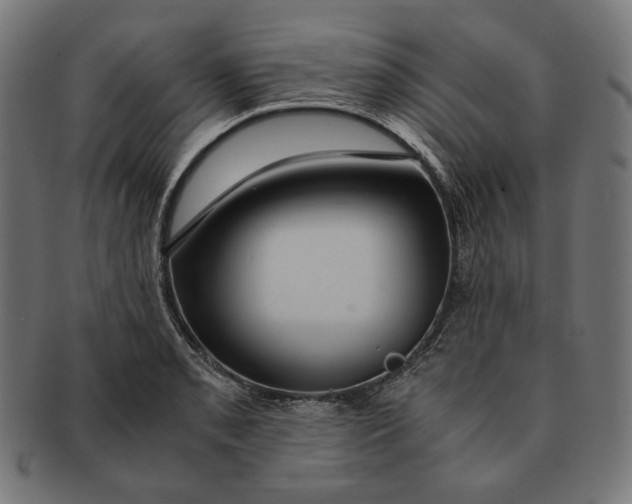X0000091181085200709060949