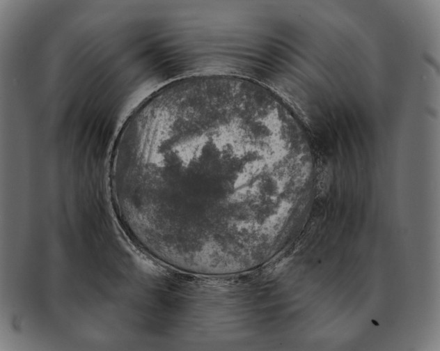 X0000091181086200709060949
