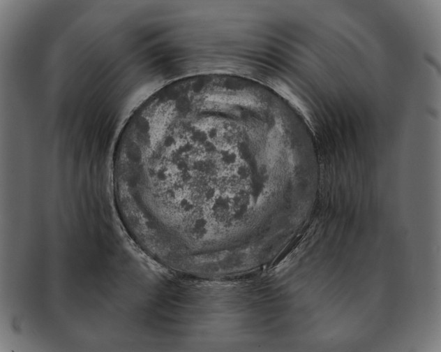 X0000091181088200709060949