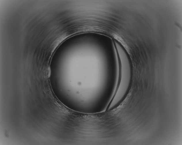 X0000091181089200709060949