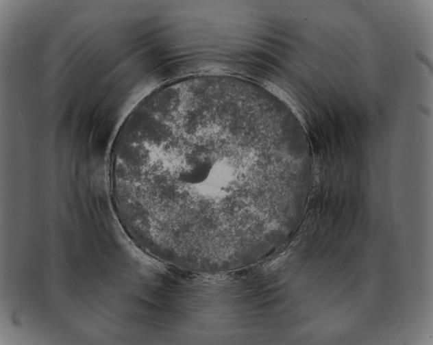 X0000091181090200709060949