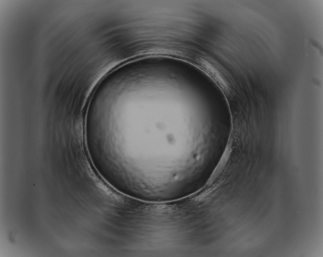X0000091181092200709060949