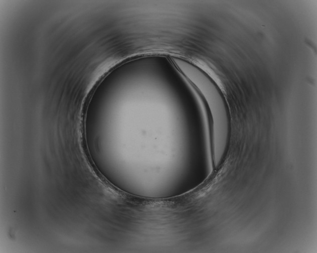 X0000091181093200709060949