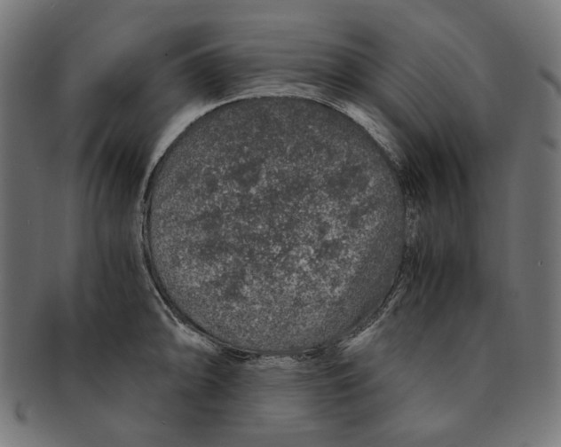 X0000091181094200709060949