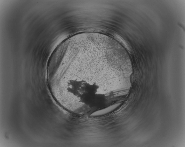 X0000091181095200709060949