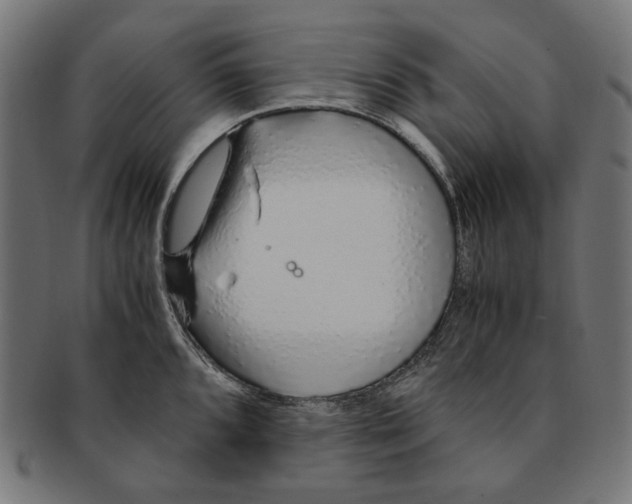 X0000091181096200709060949