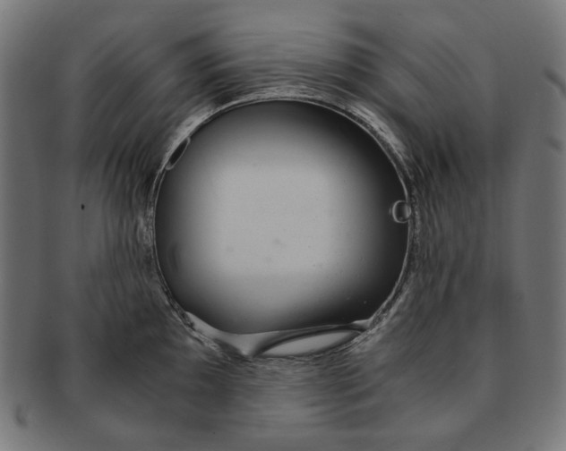 X0000091181097200709060949